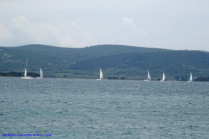 AMS Segeltage 16_124