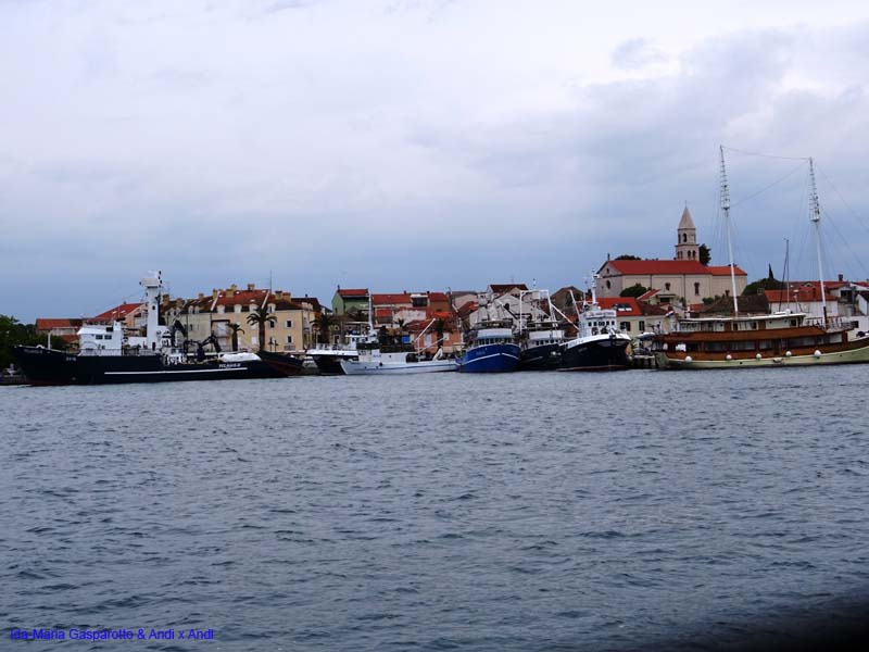 AMS Segeltage 19_013