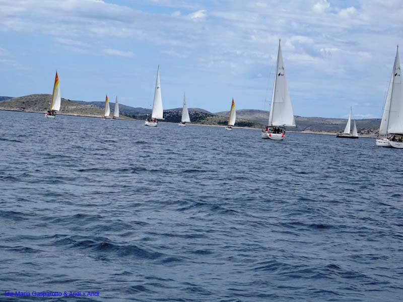 AMS Segeltage 19_050