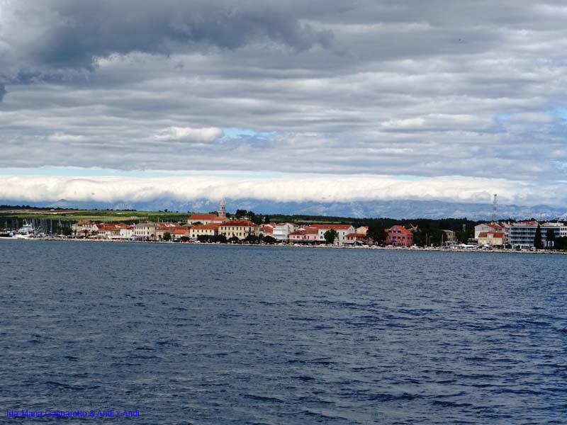 DSC04903