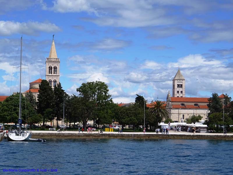 DSC05082