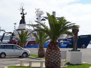 AMS
                  Segeltage 19_006