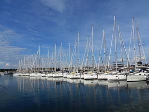 AMS
                  Segeltage 19_007