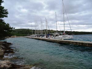 AMS
                  Segeltage 19_029