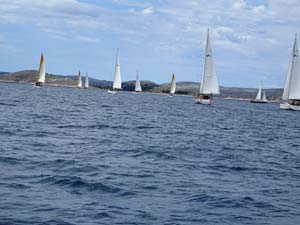 AMS
                  Segeltage 19_050
