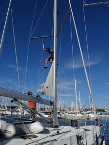 AMS
                  Segeltage 19_069