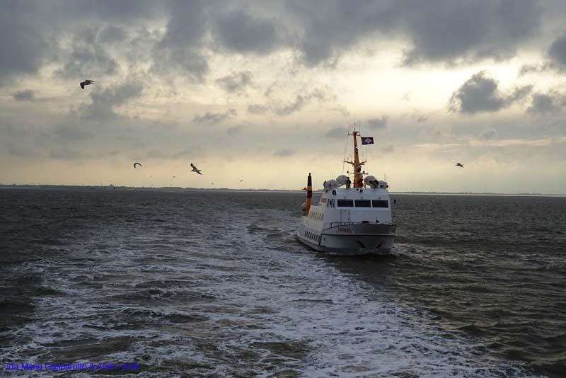 Ostfriesland 16_045