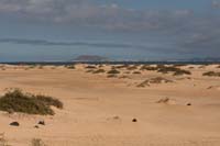 Fuerteventura 12 0199